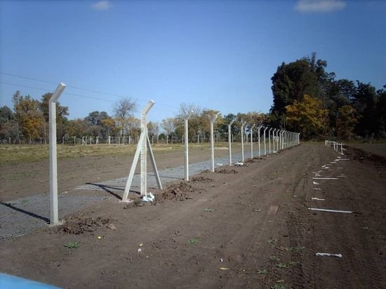 Novedades Mayo Cardales